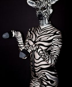Zebra Human Animal